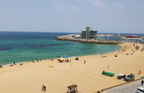 오피마트 핫플레이스 강릉안목해변