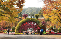 오피마트 대구대구수목원