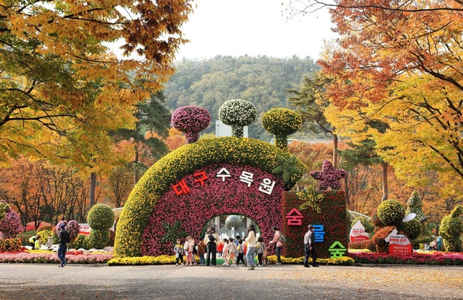 오피마트 핫플레이스 대구대구수목원