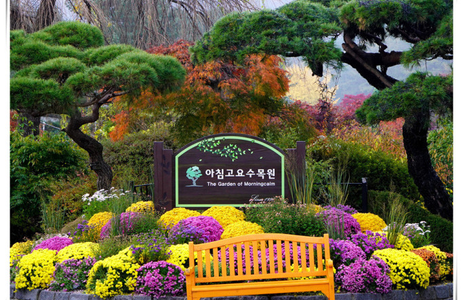 오피마트 핫플레이스 가평아침고요수목원