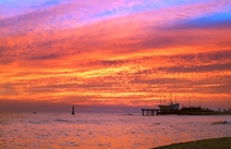 오피마트 강원정동진