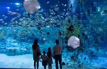 오피마트 서울롯데월드 아쿠아리움