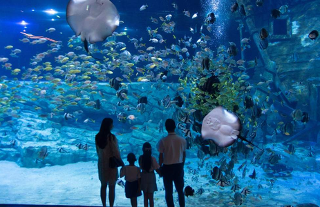 오피마트 핫플레이스 서울롯데월드 아쿠아리움