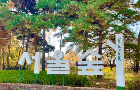 오피마트 핫플레이스 서울서울숲공원