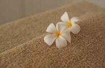 오피마트 휴게텔